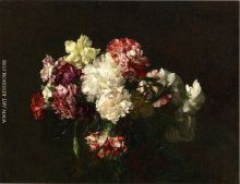 Carnations