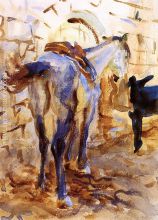 Saddle Horse Palestine