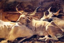 Oxen in Repose