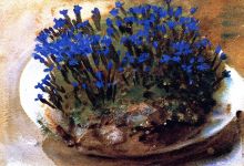 Blue Gentians