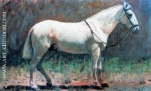 Caballo blanco