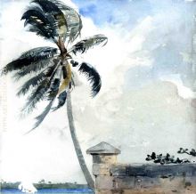 A Tropical Breeze Nassau