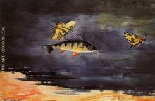 Fish and Butterflies