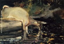 Winslow Homer Deer Drinking