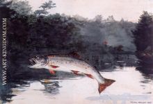 Leaping Trout 3