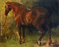 The English Horse of M Duval