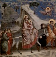 Giotto Scrovegni 20 Flight into Egypt