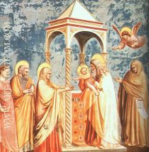 Giotto Scrovegni 19 Presentation at the Temple