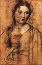 Portrait of a Young Woman draw 