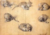 Six studies of a cat