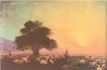 Flock of sheep with herdsmen sunset