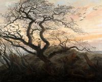 The Tree of Crows