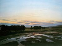 The Grosse Gehege near Dresden