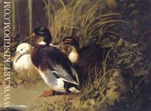 Ducks By A River Bank 1845