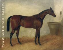 Merry Monarch A Bay Mare In a Stable 1845