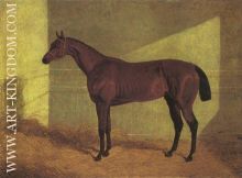 Matilda Winner St Leger 1834