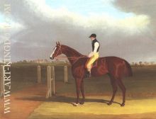 Colonel With Jockey Up