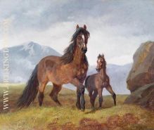 A Welsh Mountain Mare and Foal 1854