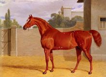 Comus A Chestnut Racehorse in a Stable Yard