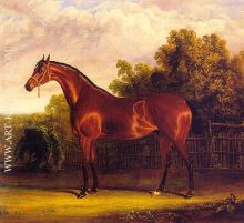 Negotiator the Bay Horse in a Landscape