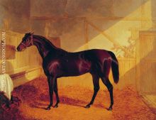 Mr Johnstone s Charles XII in a Stable