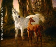 Mare and Foal startled while watering in a Stream 1854