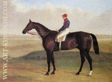 Lord Chesterfields Racehorse Don John