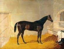 Mr G Blakelock s Racehorse A British Yeoman