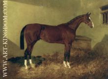 Aristides A Bay Colt 1844
