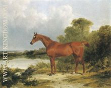 A Chestnut Hunter 1838