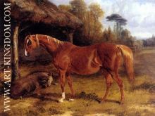 Mare And Foal By A Shed