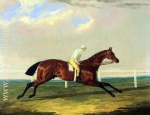 Tarrare ridden by George Nelson