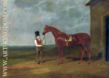 Mountaineer A Chestnut Colt 1826
