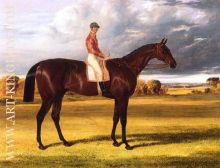 Amato 1838 Derby Winner