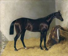 Mango In a Stable 1837