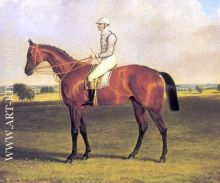 Little Wonder with Jockey Up 1840