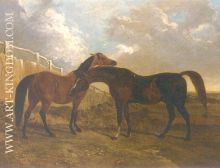 Languish and Pantaloon Two Horses in Landscape