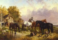 Horses in a Farmyard 