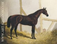 Cotherstone Bay Colt 1844