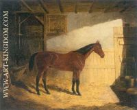 Bay Hunter in a Stable