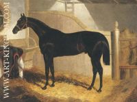 Faugh A Ballagh Winner Of St Leger 1844