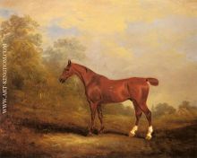 Cecil a favorite Hunter of the Earl of Jersey in a Landscap