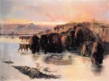 The Buffalo Herd