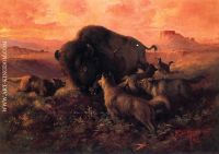 The Wounded Buffalo