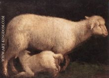 Sheep and Lamb