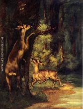 Male and Female Deer in the Woods