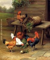 Poultry In A Barnyard