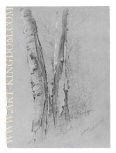 Study Of Birch Trunks