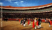 Plaza de Toros The Entry of the Bull