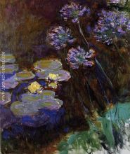 Water Lilies and Agapanthus